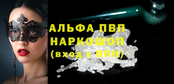 спиды Белокуриха