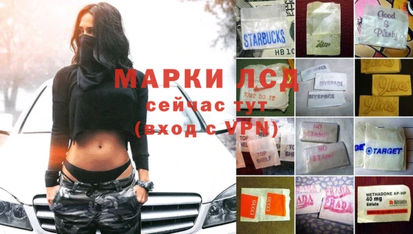 спиды Белокуриха